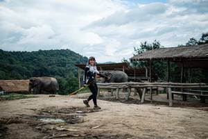 BIB: 
                            <button type="button" onclick="openModal(22424314)" class="btn btn-primary btn-sm float-right btn-popup" data-toggle="modal" data-target=".modal-high-quality">
                        <i class="fas fa-shopping-cart"></i> Add to Cart
                    </button>
                                            <button type="button" onclick="isThisMe(22424314, true)" class="btn btn-success btn-sm float-right btn-popup btn-isme hidden" data-toggle="tooltip" data-placement="bottom" title="นี่คือรูปของคุณใช่ไหม คลิกที่นี่เพื่อเอาเข้าอัลบั้ม">
                        <i class="fas fa-plus"></i> Add to album
                    </button>
                    <button type="button" onclick="isThisMe(22424314, false)" class="btn btn-warning btn-sm float-right btn-popup btn-isnotme hidden">
                        <i class="fas fa-ban"></i> Remove from album
                    </button>